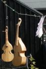 viols on the washing line